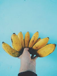 Close-up of person holding banana against blue background