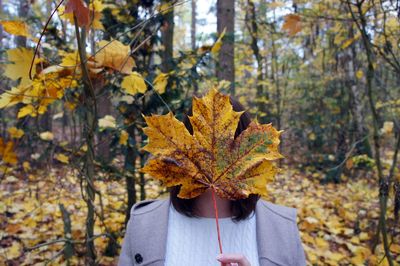 Autumn leaves on tree in forest