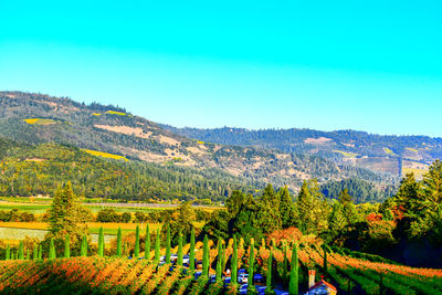 Scenic view of landscape against clear blue sky