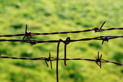 Close-up of barbed wire fence