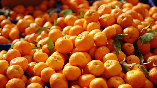 Full frame shot of oranges at market stall