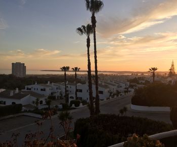 High angle view of trees during sunset