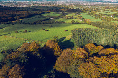 High angle view of agricultural field