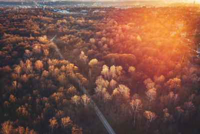 High angle view of plants and trees against sky