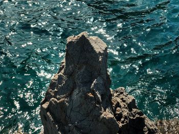 High angle view of rock formation in sea