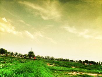 Scenic view of field against sky