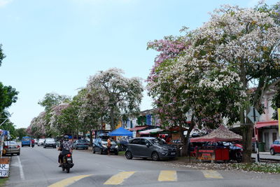 Cars on road in city against sky