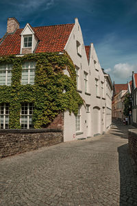 Bridge and brick house with creeper on canal of bruges. a town full of canals in belgium.