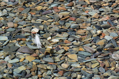 Full frame shot of pebbles on beach