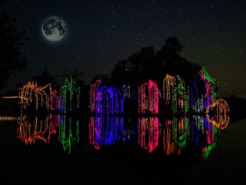 Illuminated trees against sky at night