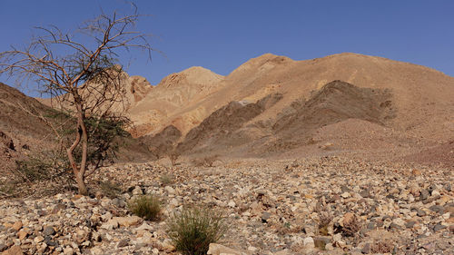 Scenic view of arid desert against clear sky