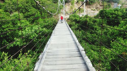 Man on footbridge in forest