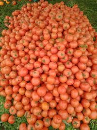 Full frame shot of fruits in market