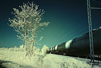Low angle view of illuminated bare trees