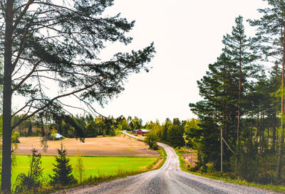 Road amidst trees against sky