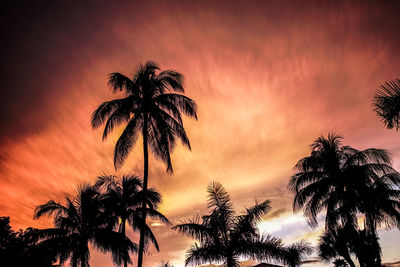 Low angle view of silhouette palm trees against sky during sunset