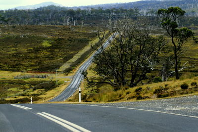 High angle view of vehicles on road amidst trees
