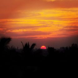 Silhouette trees against orange sky