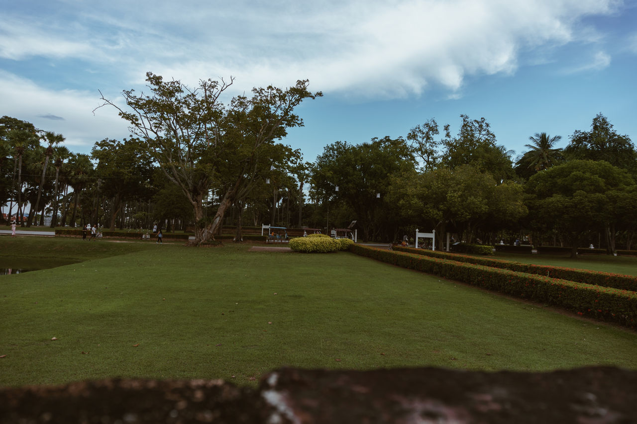 SCENIC VIEW OF PARK