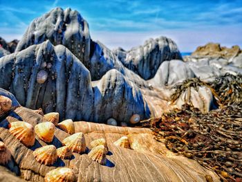 Scenic view of rocks on land against sky