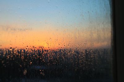 Close-up of water drops on glass window