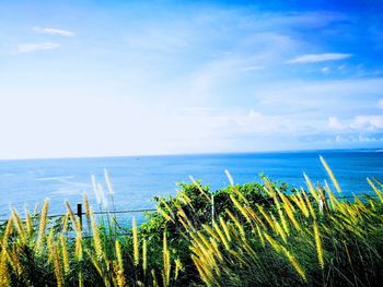 Scenic view of sea against sky