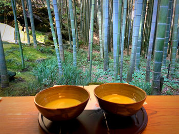 Close-up of drink on table