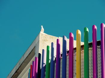 Low angle view of colorful gate with seagull perching on building against clear blue sky