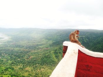 Hill station beauty