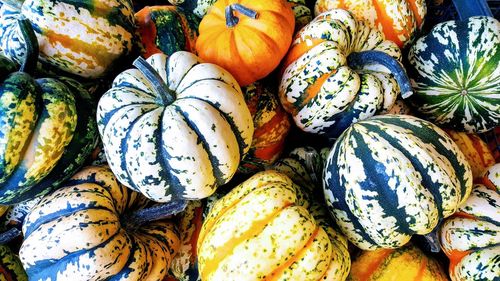 Full frame shot of pumpkins in market