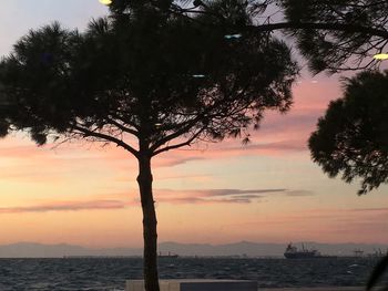 Silhouette tree by sea against sky during sunset