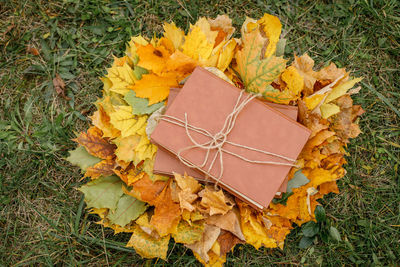 High angle view of autumn leaves on field