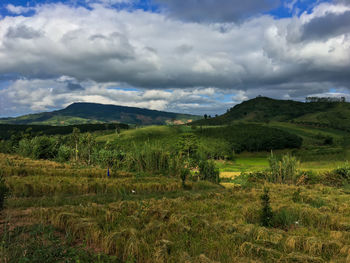 Scenic view of landscape against sky