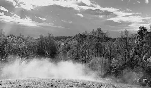 View of trees on landscape against sky