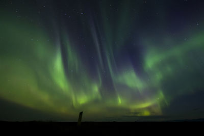 Low angle view of sky at night