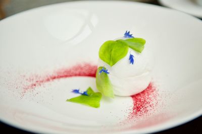 Close-up of ice cream in plate