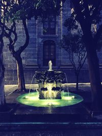 Statue on table against trees