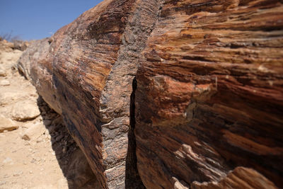 Close-up of rock formation on land