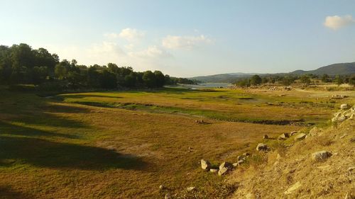 Scenic view of grassy field against sky