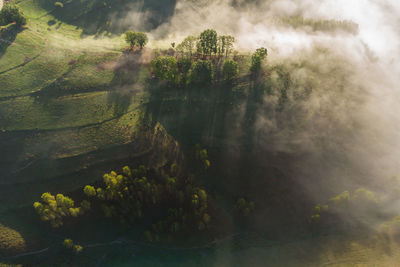 Scenic view of waterfall