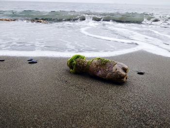 Surface level of pebbles on shore