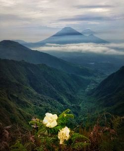 Scenic view of mountains against sky