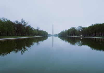 Reflection of trees in water