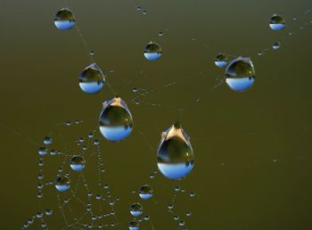 Close-up of water drop on leaf