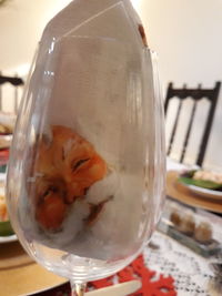 Close-up of drink in glass on table