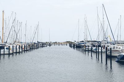 Sailboats moored at harbor against sky