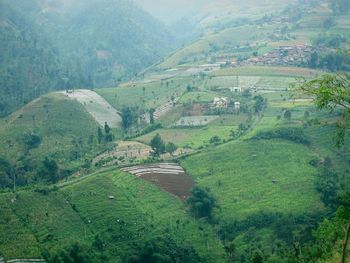 High angle view of agricultural landscape