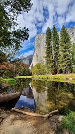 Scenic view of lake by trees against sky