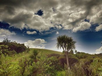 Scenic view of landscape against cloudy sky
