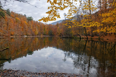 Scenic view of lake in forest during autumn